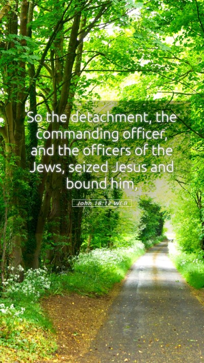 Picture 05 - John 18:12 WEB Mobile Phone Wallpaper - So the detachment, the commanding officer, and - Mobile Bible Verse Wallpaper