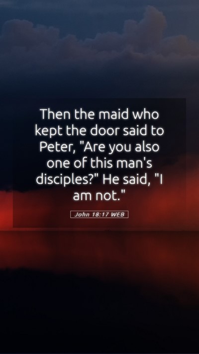 Picture 05 - John 18:17 WEB Mobile Phone Wallpaper - Then the maid who kept the door said to Peter, - Mobile Bible Verse Wallpaper
