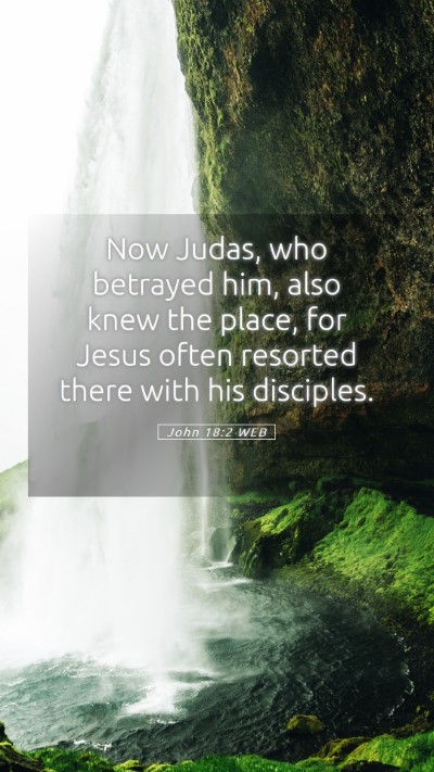 Picture 05 - John 18:2 WEB Mobile Phone Wallpaper - Now Judas, who betrayed him, also knew the place, - Mobile Bible Verse Wallpaper