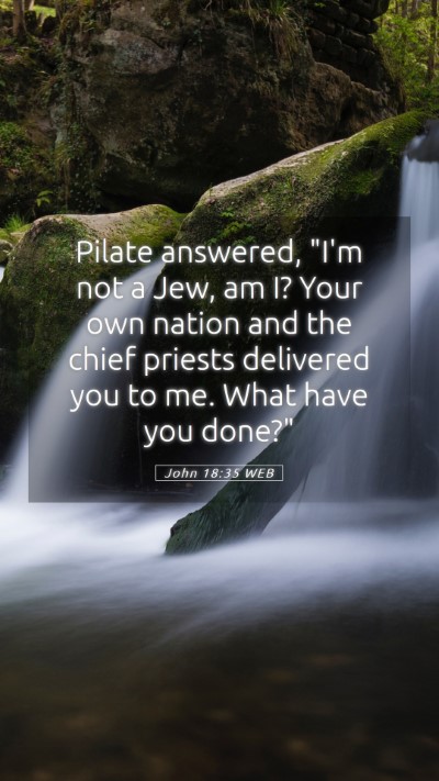 Picture 05 - John 18:35 WEB Mobile Phone Wallpaper - Pilate answered, 
