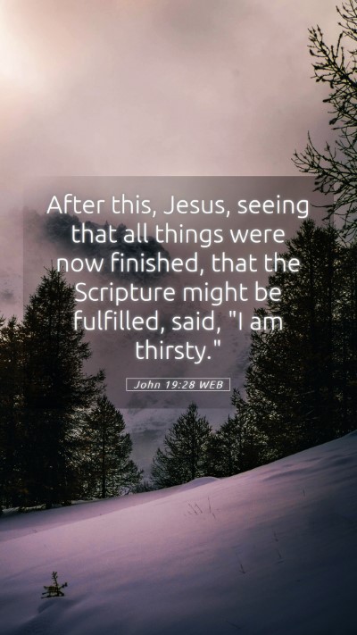 Picture 05 - John 19:28 WEB Mobile Phone Wallpaper - After this, Jesus, seeing that all things were - Mobile Bible Verse Wallpaper