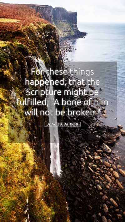 Picture 05 - John 19:36 WEB Mobile Phone Wallpaper - For these things happened, that the Scripture - Mobile Bible Verse Wallpaper