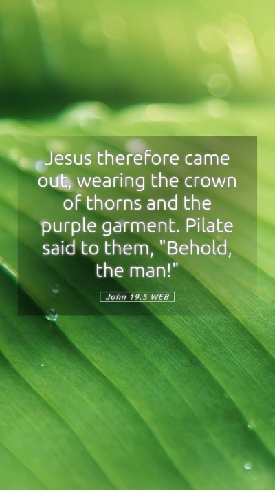 Picture 05 - John 19:5 WEB Mobile Phone Wallpaper - Jesus therefore came out, wearing the crown of - Mobile Bible Verse Wallpaper