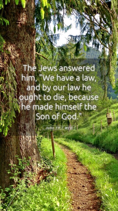 Picture 05 - John 19:7 WEB Mobile Phone Wallpaper - The Jews answered him, 
