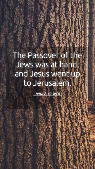 Picture 05 - John 2:13 WEB Mobile Phone Wallpaper - The Passover of the Jews was at hand, and Jesus - Mobile Bible Verse Wallpaper