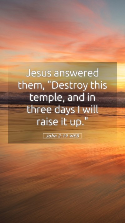 Picture 05 - John 2:19 WEB Mobile Phone Wallpaper - Jesus answered them, 