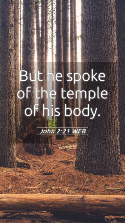 Picture 05 - John 2:21 WEB Mobile Phone Wallpaper - But he spoke of the temple of his - Mobile Bible Verse Wallpaper