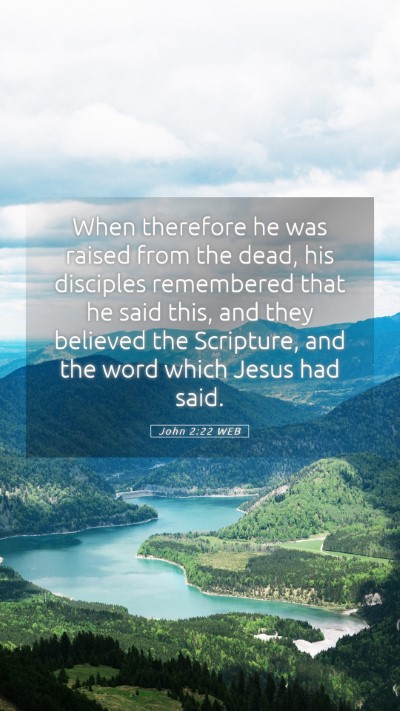 Picture 05 - John 2:22 WEB Mobile Phone Wallpaper - When therefore he was raised from the dead, his - Mobile Bible Verse Wallpaper