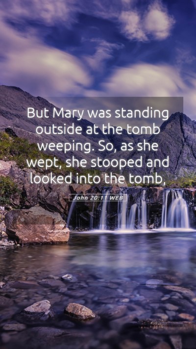 Picture 05 - John 20:11 WEB Mobile Phone Wallpaper - But Mary was standing outside at the tomb - Mobile Bible Verse Wallpaper