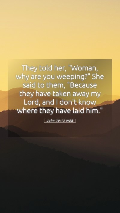 Picture 05 - John 20:13 WEB Mobile Phone Wallpaper - They told her, 