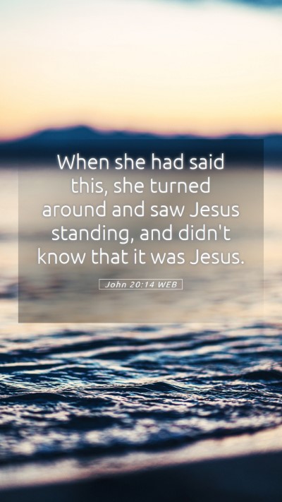 Picture 05 - John 20:14 WEB Mobile Phone Wallpaper - When she had said this, she turned around and saw - Mobile Bible Verse Wallpaper