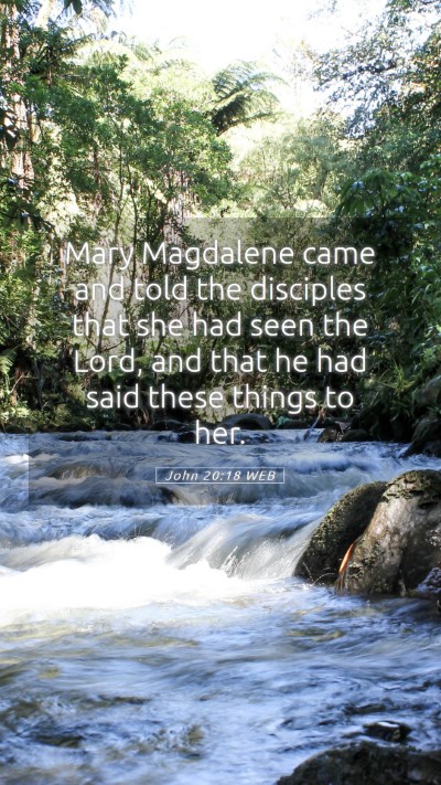 Picture 05 - John 20:18 WEB Mobile Phone Wallpaper - Mary Magdalene came and told the disciples that - Mobile Bible Verse Wallpaper