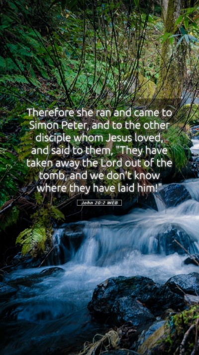 Picture 05 - John 20:2 WEB Mobile Phone Wallpaper - Therefore she ran and came to Simon Peter, and to - Mobile Bible Verse Wallpaper