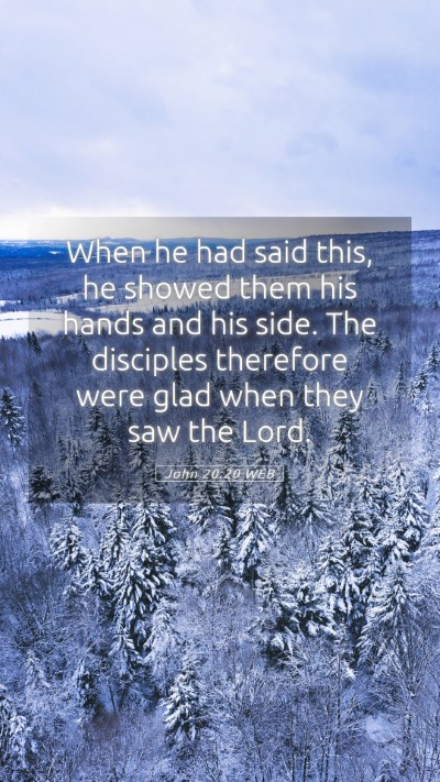 Picture 05 - John 20:20 WEB Mobile Phone Wallpaper - When he had said this, he showed them his hands - Mobile Bible Verse Wallpaper