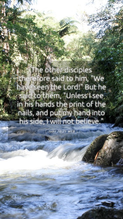Picture 05 - John 20:25 WEB Mobile Phone Wallpaper - The other disciples therefore said to him, 