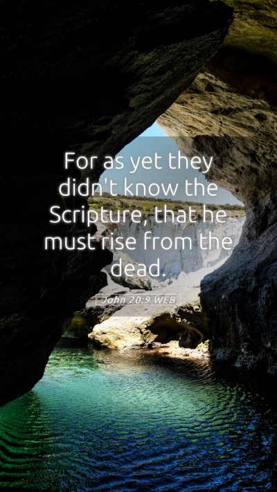 Picture 05 - John 20:9 WEB Mobile Phone Wallpaper - For as yet they didn't know the Scripture, that - Mobile Bible Verse Wallpaper