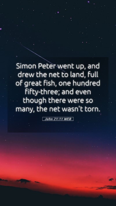 Picture 05 - John 21:11 WEB Mobile Phone Wallpaper - Simon Peter went up, and drew the net to land, - Mobile Bible Verse Wallpaper