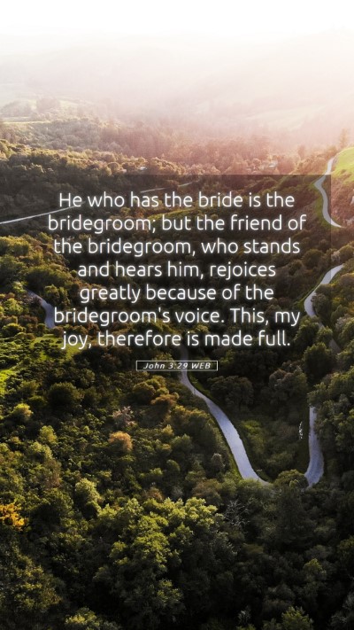 Picture 05 - John 3:29 WEB Mobile Phone Wallpaper - He who has the bride is the bridegroom; but the - Mobile Bible Verse Wallpaper