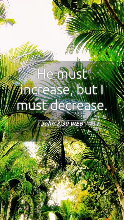 Picture 05 - John 3:30 WEB Mobile Phone Wallpaper - He must increase, but I must - Mobile Bible Verse Wallpaper