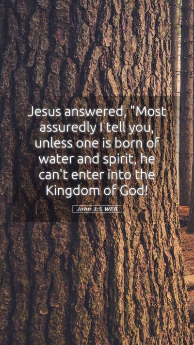 Picture 05 - John 3:5 WEB Mobile Phone Wallpaper - Jesus answered, 