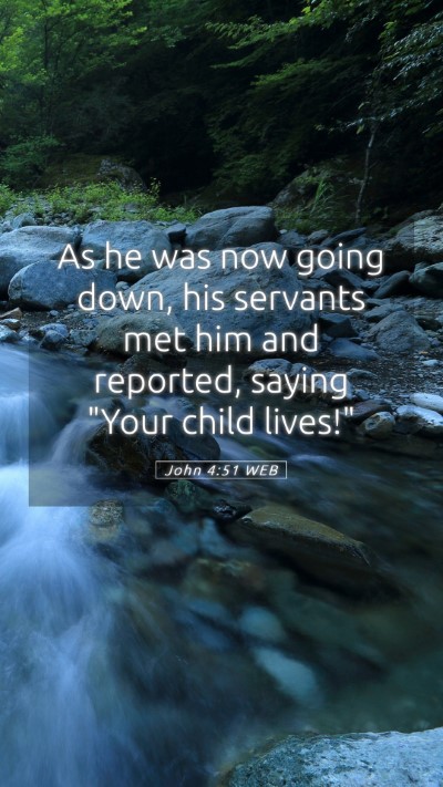Picture 05 - John 4:51 WEB Mobile Phone Wallpaper - As he was now going down, his servants met him - Mobile Bible Verse Wallpaper