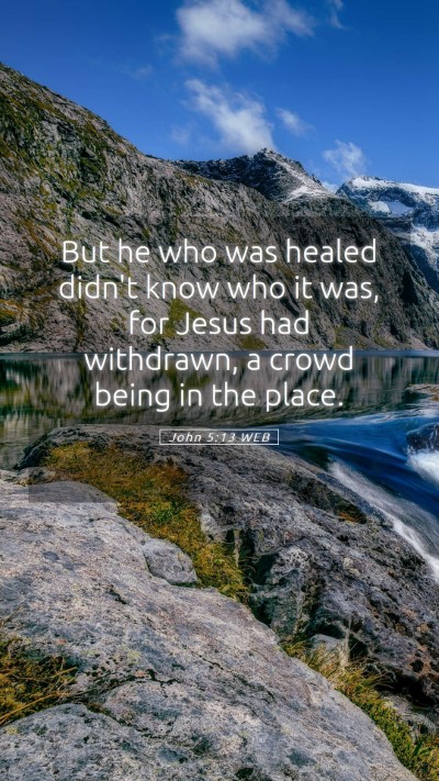 Picture 05 - John 5:13 WEB Mobile Phone Wallpaper - But he who was healed didn't know who it was, for - Mobile Bible Verse Wallpaper