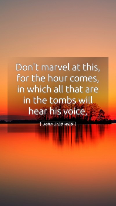 Picture 05 - John 5:28 WEB Mobile Phone Wallpaper - Don't marvel at this, for the hour comes, in - Mobile Bible Verse Wallpaper
