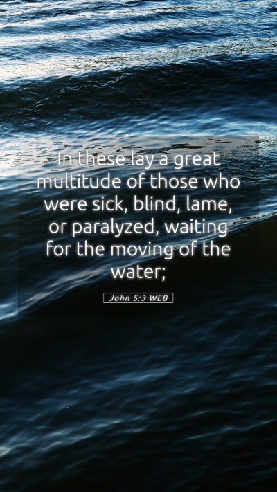 Picture 05 - John 5:3 WEB Mobile Phone Wallpaper - In these lay a great multitude of those who were - Mobile Bible Verse Wallpaper