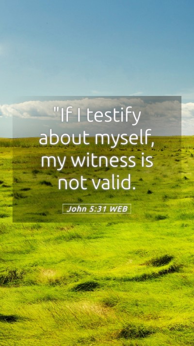 Picture 05 - John 5:31 WEB Mobile Phone Wallpaper - 