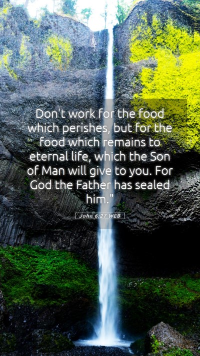 Picture 05 - John 6:27 WEB Mobile Phone Wallpaper - Don't work for the food which perishes, but for - Mobile Bible Verse Wallpaper