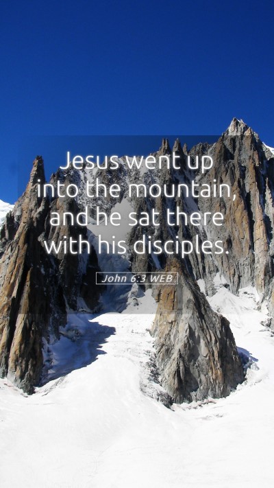 Picture 05 - John 6:3 WEB Mobile Phone Wallpaper - Jesus went up into the mountain, and he sat there - Mobile Bible Verse Wallpaper