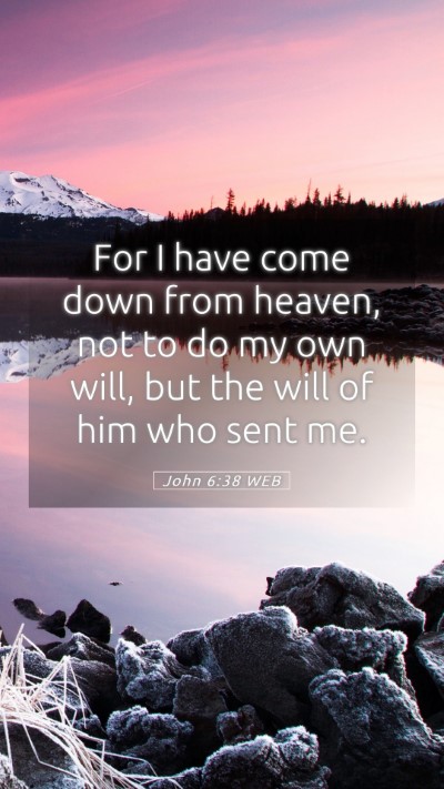 Picture 05 - John 6:38 WEB Mobile Phone Wallpaper - For I have come down from heaven, not to do my - Mobile Bible Verse Wallpaper