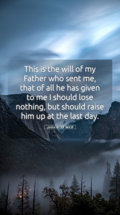 Picture 05 - John 6:39 WEB Mobile Phone Wallpaper - This is the will of my Father who sent me, that - Mobile Bible Verse Wallpaper