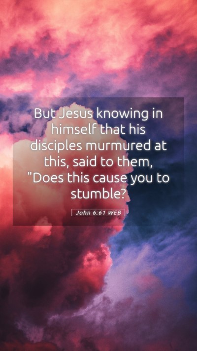 Picture 05 - John 6:61 WEB Mobile Phone Wallpaper - But Jesus knowing in himself that his disciples - Mobile Bible Verse Wallpaper