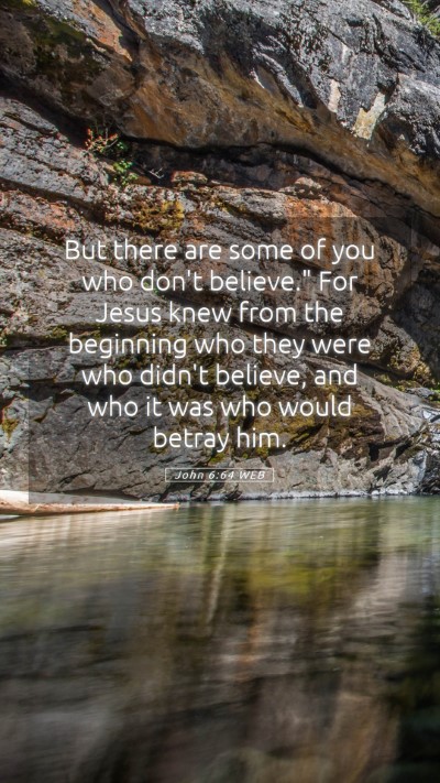 Picture 05 - John 6:64 WEB Mobile Phone Wallpaper - But there are some of you who don't believe.