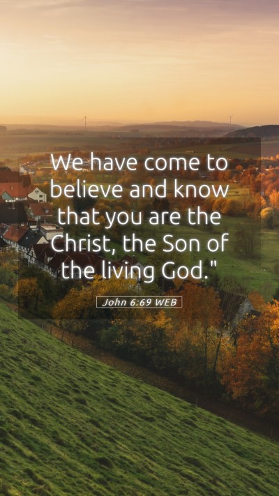 Picture 05 - John 6:69 WEB Mobile Phone Wallpaper - We have come to believe and know that you are the - Mobile Bible Verse Wallpaper