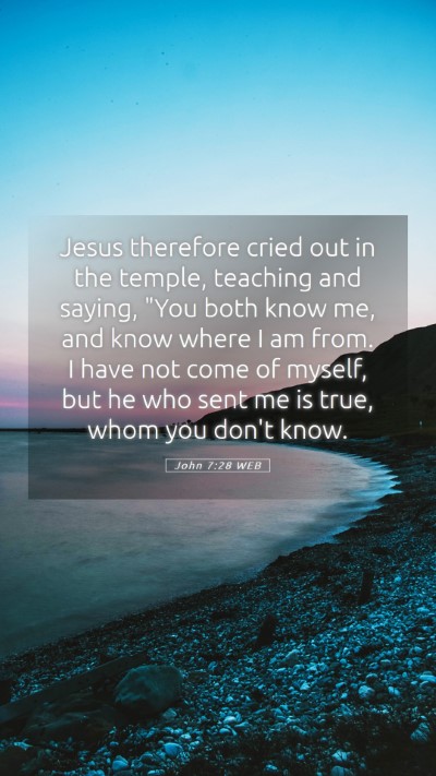 Picture 05 - John 7:28 WEB Mobile Phone Wallpaper - Jesus therefore cried out in the temple, teaching - Mobile Bible Verse Wallpaper