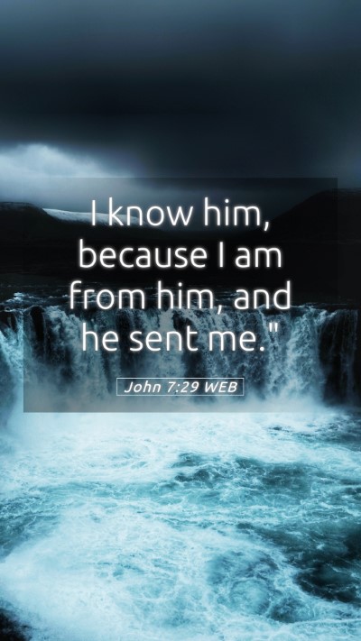 Picture 05 - John 7:29 WEB Mobile Phone Wallpaper - I know him, because I am from him, and he sent - Mobile Bible Verse Wallpaper