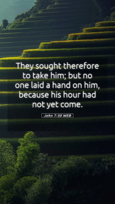 Picture 05 - John 7:30 WEB Mobile Phone Wallpaper - They sought therefore to take him; but no one - Mobile Bible Verse Wallpaper