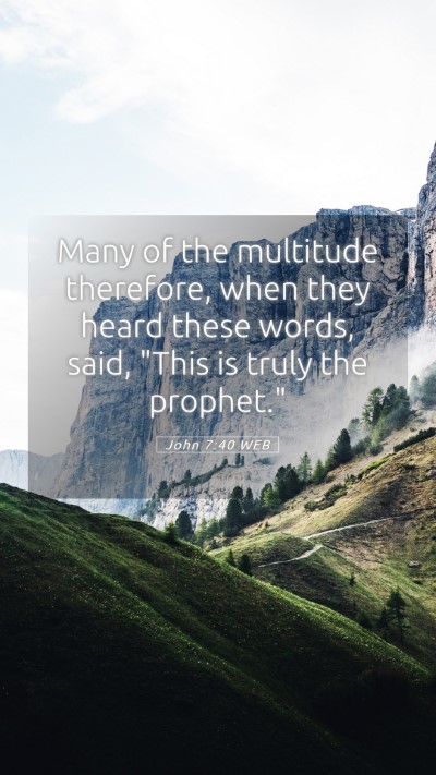Picture 05 - John 7:40 WEB Mobile Phone Wallpaper - Many of the multitude therefore, when they heard - Mobile Bible Verse Wallpaper