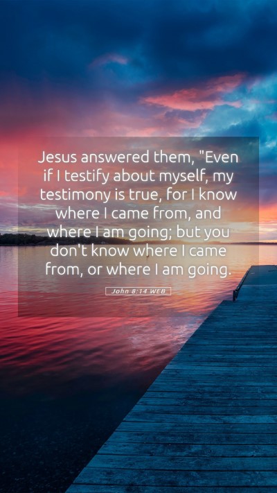 Picture 05 - John 8:14 WEB Mobile Phone Wallpaper - Jesus answered them, 