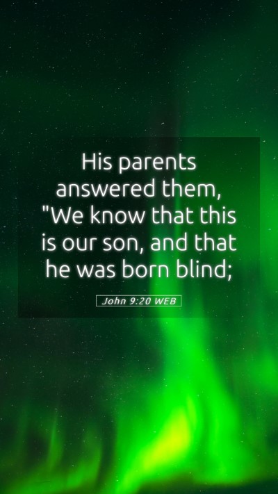 Picture 05 - John 9:20 WEB Mobile Phone Wallpaper - His parents answered them, 
