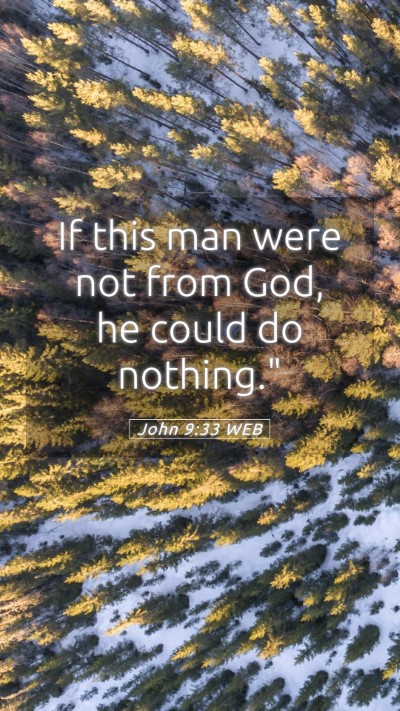Picture 05 - John 9:33 WEB Mobile Phone Wallpaper - If this man were not from God, he could do - Mobile Bible Verse Wallpaper