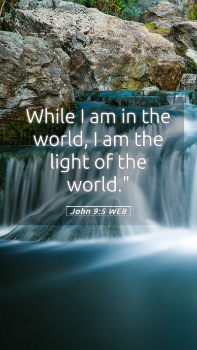 Picture 05 - John 9:5 WEB Mobile Phone Wallpaper - While I am in the world, I am the light of the - Mobile Bible Verse Wallpaper