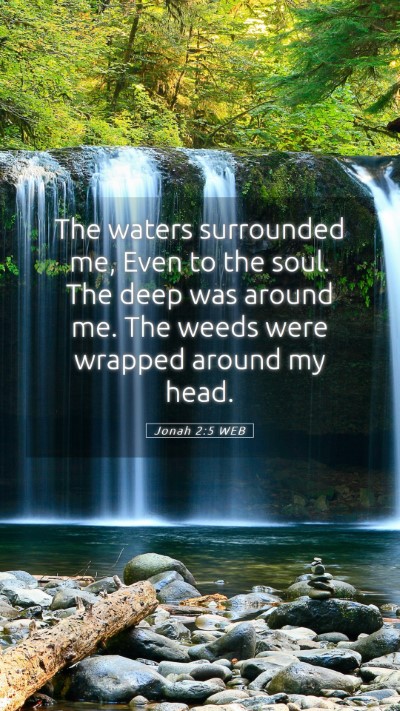 Picture 05 - Jonah 2:5 WEB Mobile Phone Wallpaper - The waters surrounded me, Even to the soul. The - Mobile Bible Verse Wallpaper