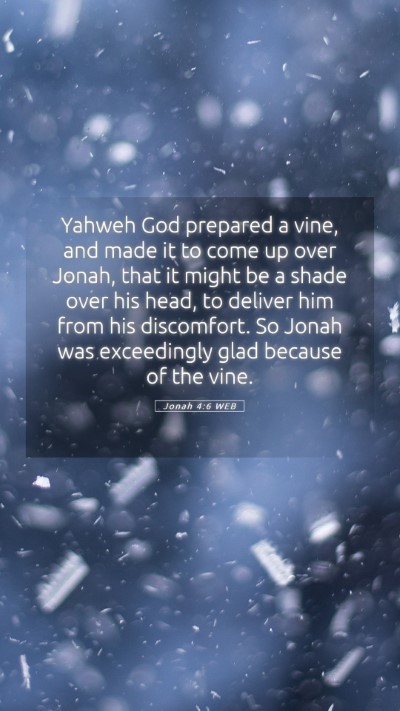 Picture 05 - Jonah 4:6 WEB Mobile Phone Wallpaper - Yahweh God prepared a vine, and made it to come - Mobile Bible Verse Wallpaper