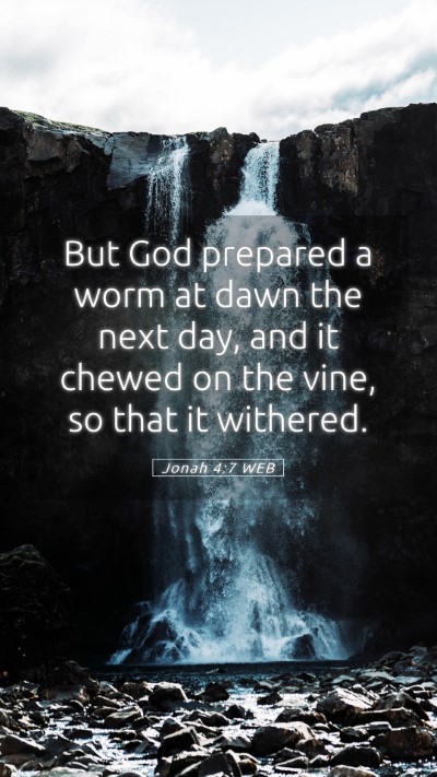 Picture 05 - Jonah 4:7 WEB Mobile Phone Wallpaper - But God prepared a worm at dawn the next day, and - Mobile Bible Verse Wallpaper