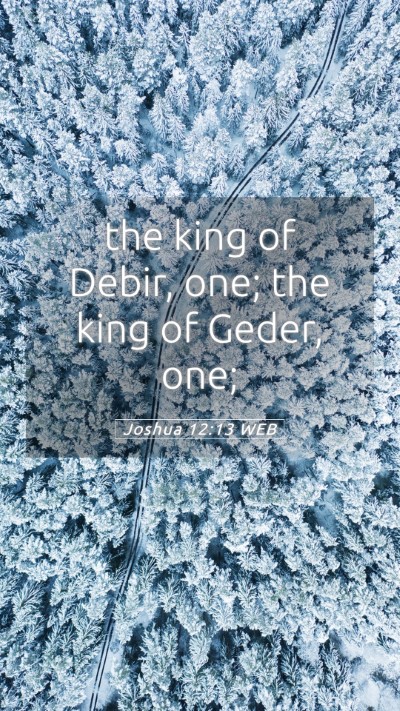 Picture 05 - Joshua 12:13 WEB Mobile Phone Wallpaper - the king of Debir, one; the king of Geder, - Mobile Bible Verse Wallpaper
