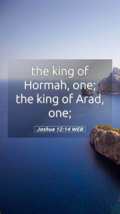 Picture 05 - Joshua 12:14 WEB Mobile Phone Wallpaper - the king of Hormah, one; the king of Arad, - Mobile Bible Verse Wallpaper