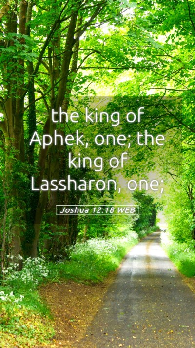 Picture 05 - Joshua 12:18 WEB Mobile Phone Wallpaper - the king of Aphek, one; the king of Lassharon, - Mobile Bible Verse Wallpaper
